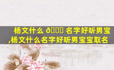 杨文什么 🐋 名字好听男宝,杨文什么名字好听男宝宝取名